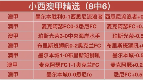 徐彬海外征程首战盘点：虽未惊艳全场，信任未至，但稳扎稳打求突破！