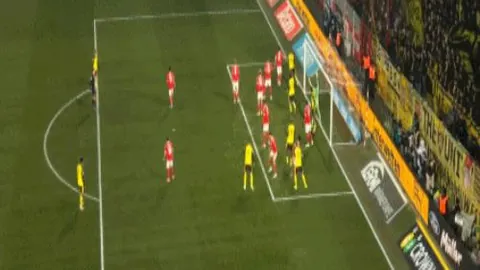 华体会体育娱乐